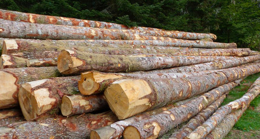 Tronchi – abete rosso – camion completo da 40 m³