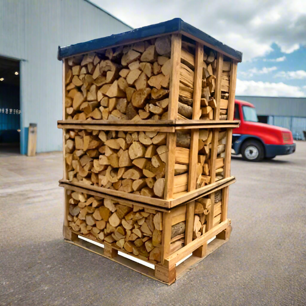 Tronchi di legna da ardere secca da 40 cm su un pallet (2,7 metri cubi)