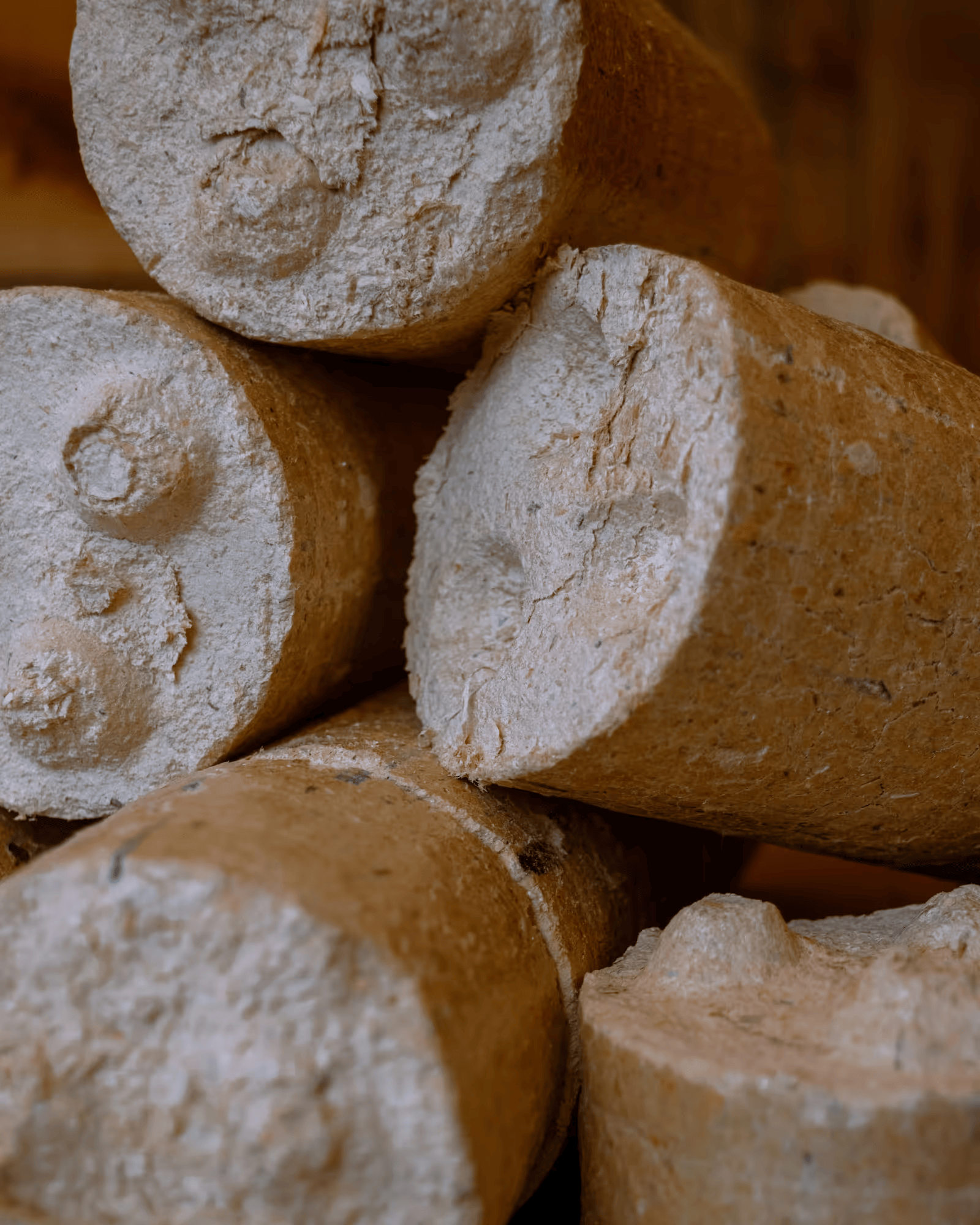 Ceppi di legna da ardere Nestro su un pallet con 100 fasci