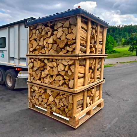 Ceppi di legna da ardere secca da 25 cm su un pallet (3 metri cubi)